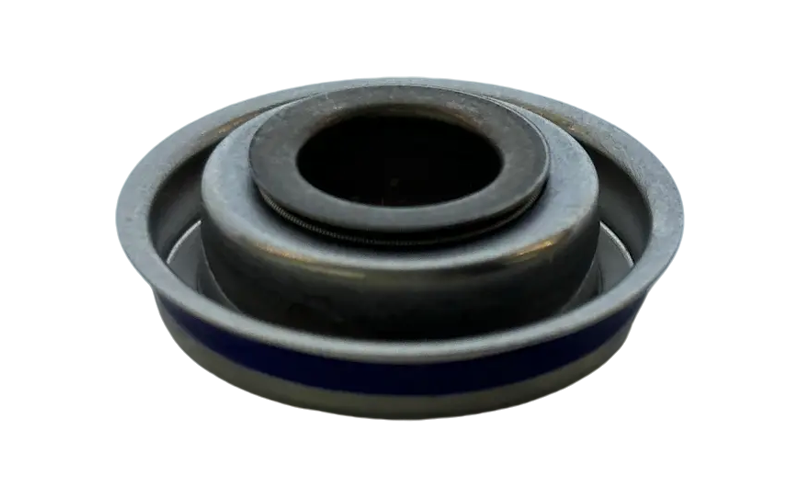 Lip Seal