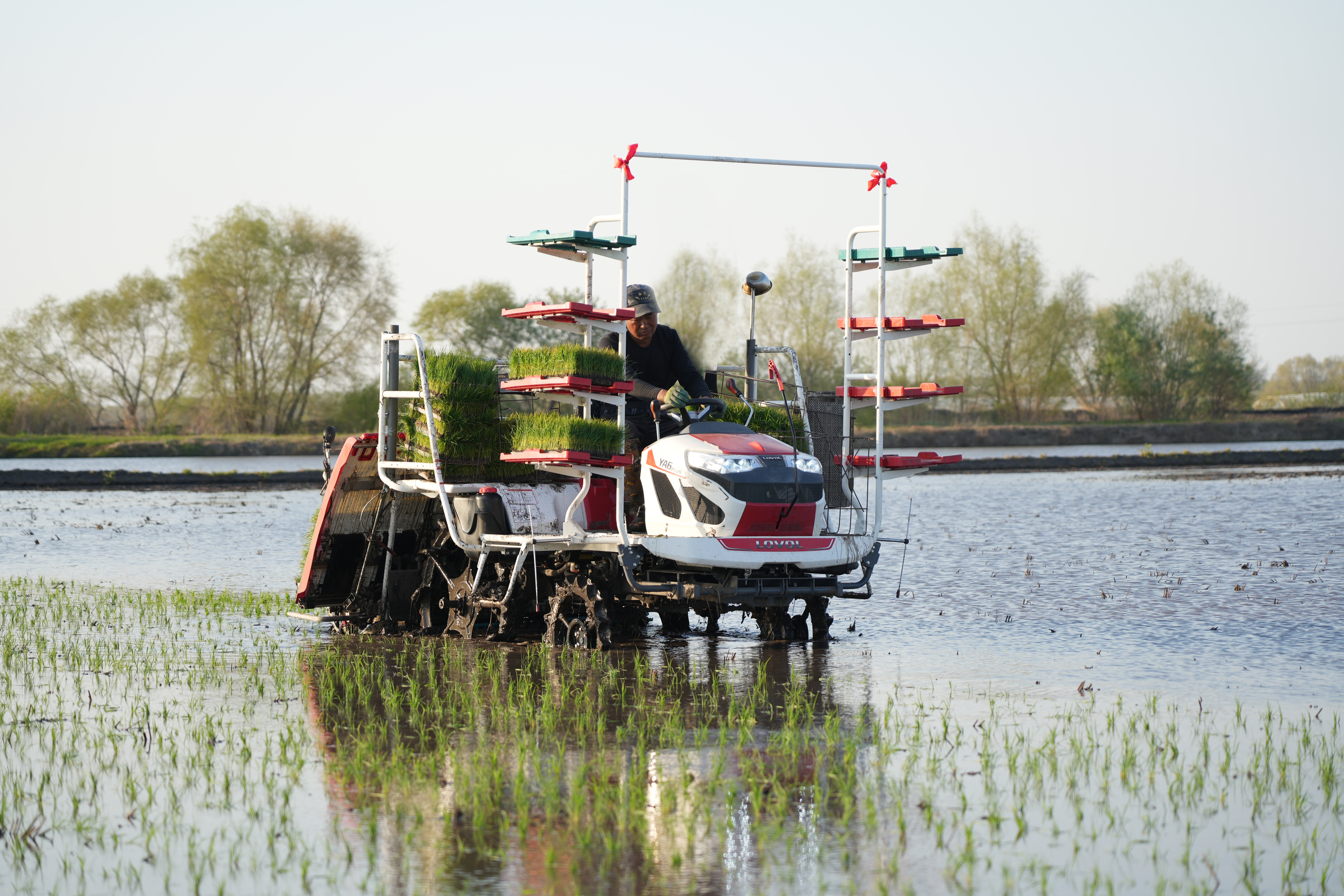 Dedicated Power Solutions for Paddy Fields