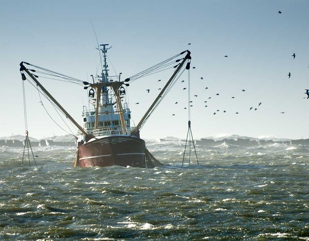 Ocean-Going Fishing Vessel